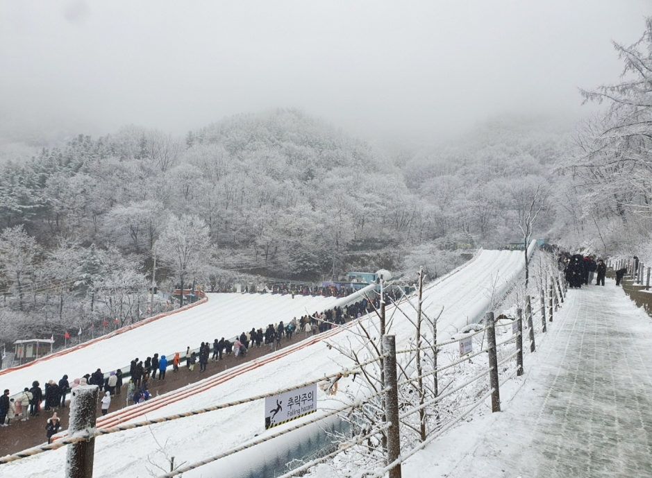 양주 눈꽃축제